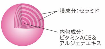 セラミド膜と内包成分