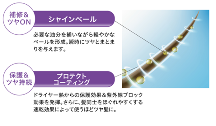 シャインベールとプロテクトコーティングの説明