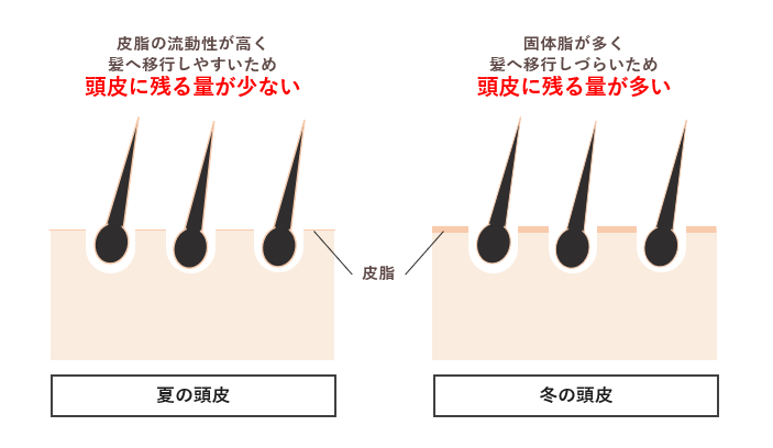 頭皮に残る皮脂の図