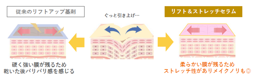 リフト&ストレッチセラムの肌図