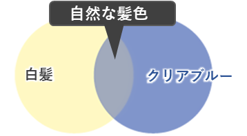 白髪な髪色イメージ
