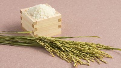 はね返るようなもちもち美肌へ！コメ発酵エキス高配合美容液