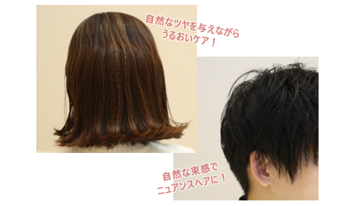 女性の髪形 男性の髪形