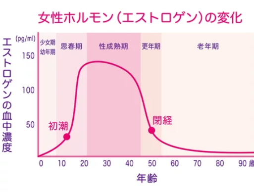 エストロゲンの変化を表したグラフ