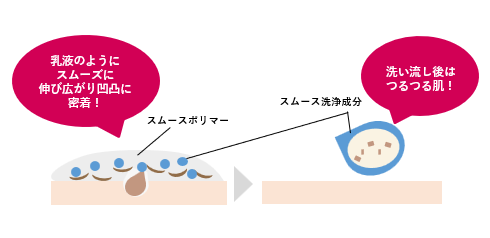 「スムースポリマー」と「スムース洗浄成分」説明図