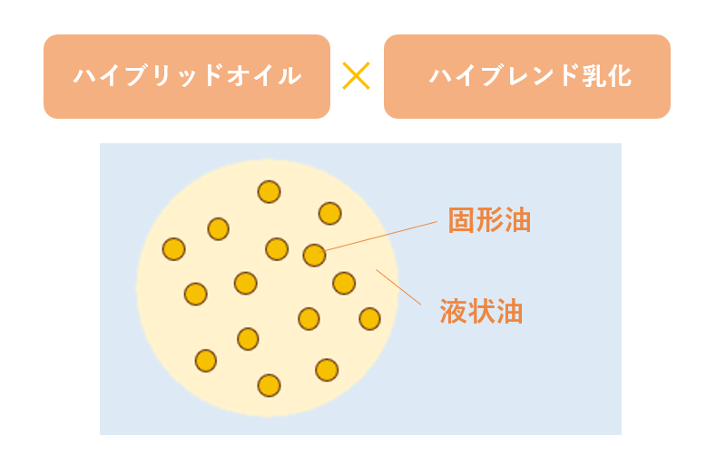 処方特徴の説明イラスト
