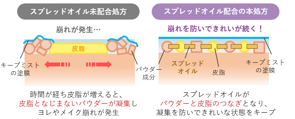 皮脂とパウダーをつなぎ、メイク崩れを防ぐ仕組みの図