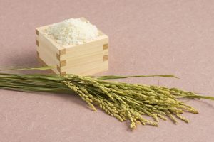 稲穂と米粒
