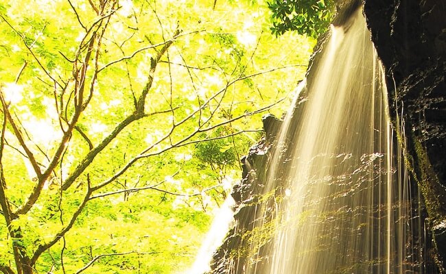岩井瀑布被列为「日本全国名⽔百选」之一